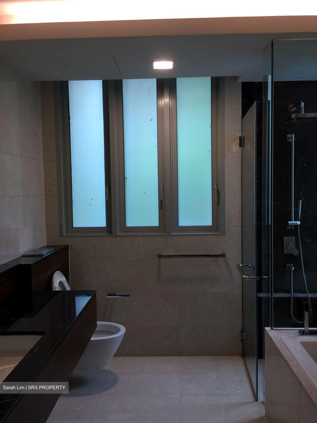 The Glyndebourne (D11), Condominium #433656291